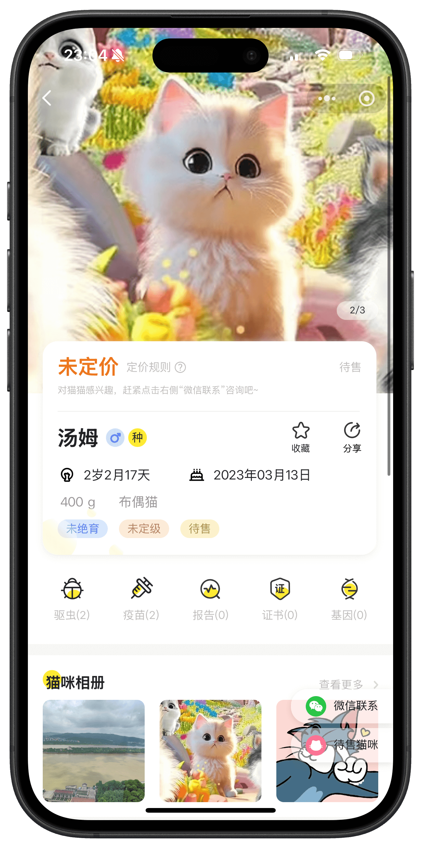 猫咪展示详情